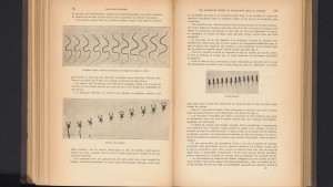 Reptation in der Soziologie