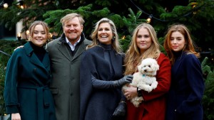 Muss König Willem-Alexander bald Steuern zahlen?