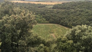 Mulde in südfranzösischem Weingut ist Meteoritenkrater