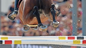 Der deutsche Reitsport ist so tief gespalten wie noch nie