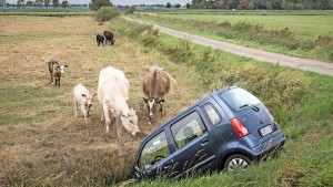 So wird die Kfz-Versicherung günstiger