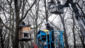 Keine Besetzer mehr im Fechenheimer Wald