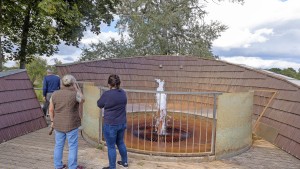 Warum Mineralbrunnen das Wasser nicht ausgeht