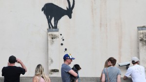 Steinbock oder Ziege?