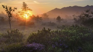 „Schutzgebiete sind eine Art Biodiversitätsbank“