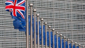 Briten wollen von EU-Regulierung abweichen