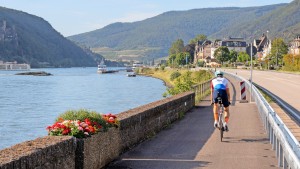 Links der Rhein – rechts die Weinberge