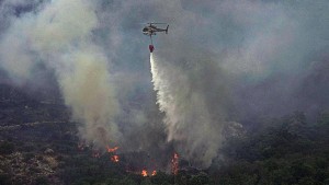 Italien kämpft landesweit gegen Hunderte Waldbrände