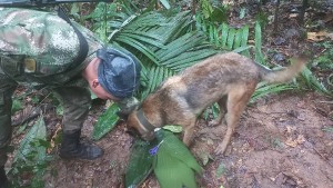 Vermisste Kinder in Kolumbiens Regenwald doch nicht gefunden