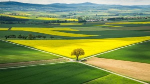 Ein gemeinsames Ziel