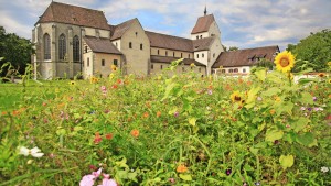 Es wuchs ein Rosmarienbaum