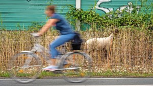 Wozu noch auf die Autobahn?