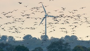 Mit der Windkraft schneller zum Ziel