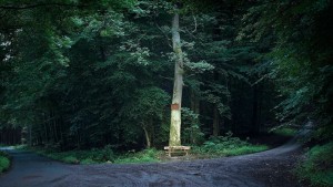 Gegenwind für Rotoren im Hinterlandswald