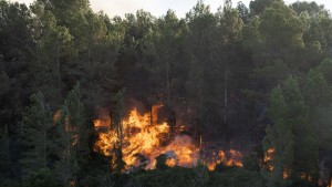 Hunderte Menschen fliehen vor Waldbrand