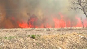 Waldbrand vernichtet Fläche von 170 Fußballfeldern