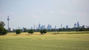 Die eingekesselte Stadt