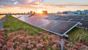 Der Solaranlage blüht jetzt was