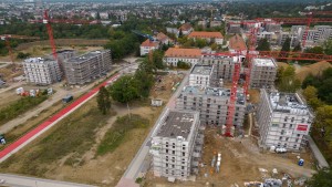 Für Straßenbahn wird weniger Wald gerodet