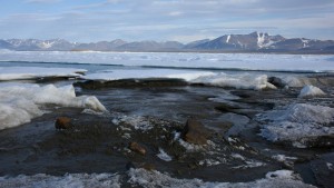 Womöglich nördlichste Insel der Welt entdeckt