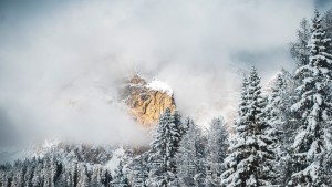 Leichter Riesling im Schnee