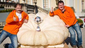 Diese Bauern haben den dicksten Kürbis