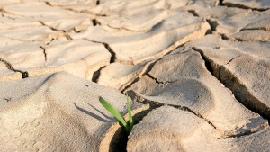 Stress fürs Grundwasser