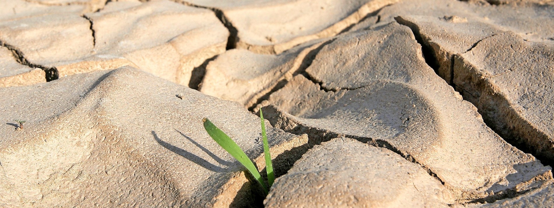 Stress fürs Grundwasser