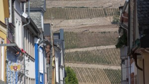 Die besten Weine vom Rüdesheimer Berg im Rheingau