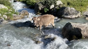 Der Weg des Wassers schenkt Gelassenheit