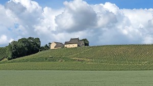 Feine Tropfen vom Louwberg