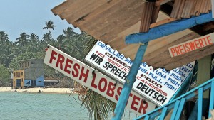 Wie Schätzings „Schwarm“ einer Familie das Leben rettete