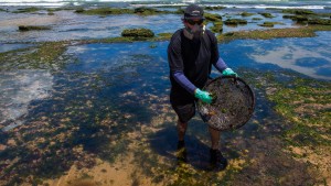 Ölpest verschmutzt Küste im Nordosten Brasiliens