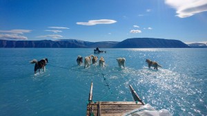 Foto von Schlittenhunden auf dem Grönlandeis geht um die Welt