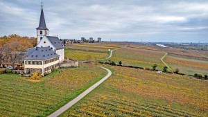 70 Löcher im Weinberg