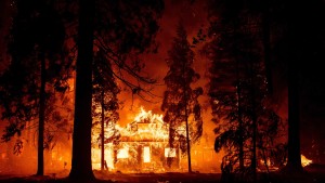 Stromleitung löste Waldbrand in Kalifornien aus