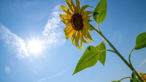 Am Wochenende kehrt der Sommer zurück