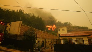 Mindestens 56 Tote bei Waldbränden in Chile