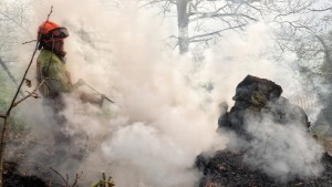 „Asturien brennt nicht, sie verbrennen es“