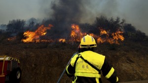 Erster großer Waldbrand des Jahres ausgebrochen