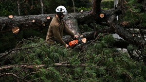 Ein Toter durch Sturm „Darragh“ in England – viele Haushalte ohne Strom