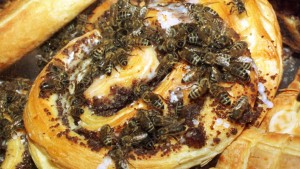 Hunderte Bienen überfallen Bäckerei