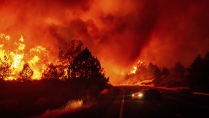 Gewaltiger Waldbrand breitet sich weiter aus