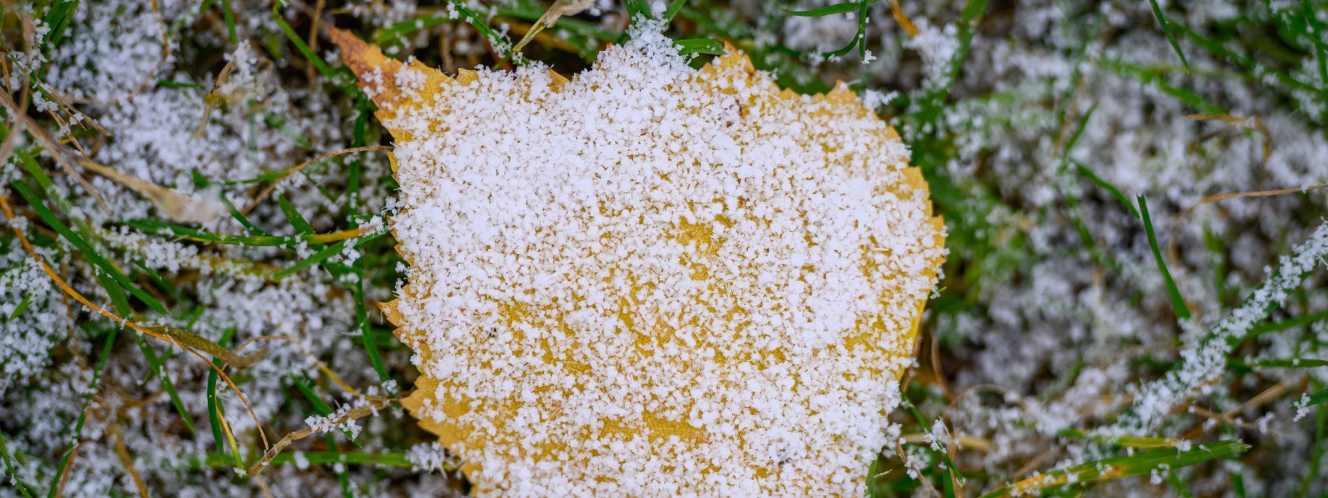 Meteorologen erwarten Schnee und Glätte in Teilen Deutschlands