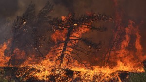 Der Mittelmeerraum als Brennpunkt des Klimawandels