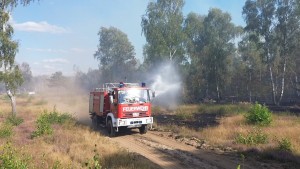 Wieder Waldbrand im munitionsbelastetem Gebiet