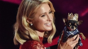 Paris Hilton sucht mit Tierdetektiv nach ihrem Chihuahua