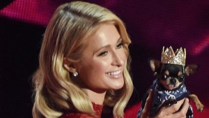 Paris Hilton setzt auf Tierastrologin