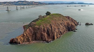 Niemand will diese Insel vor San Francisco haben