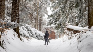 Meteorologen erwarten Frostnacht mit bis zu minus zehn Grad